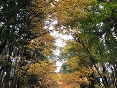 -醍醐寺