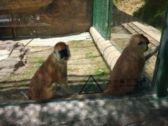 -泉州海丝野生动物世界