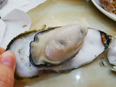 -蚝专家(北滘店)