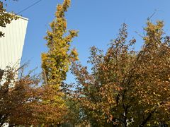 -乔波室内滑雪场