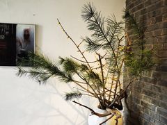 -曲廊院(东四十一条店)