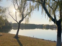 -东华大学(松江校区)