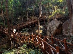-大岭沟猕猴桃谷风景区
