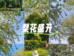 -月湖风景区