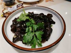 捞起黑木耳-虾饺妹·酒家(海珠广场店)