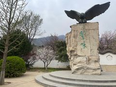 -北京鹫峰国家森林公园