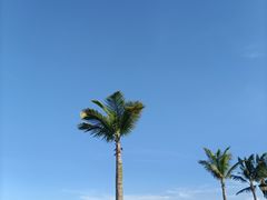 -野狸岛