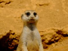 -杭州野生动物世界