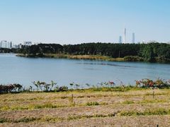 -海珠湖公园