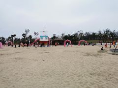 -九龙湖公园