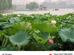 -济南大明湖景区