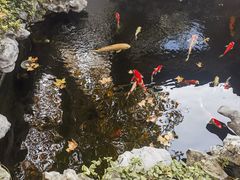 -鲤院·新中式美学·庭院餐厅(夫子庙店)