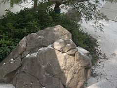-新洲生态园