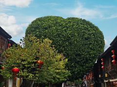 -三坊七巷历史文化街区