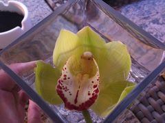 IMG_0082-北京盘古七星酒店