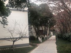 -上海市保健医疗中心