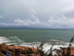 -广东惠东海龟国家级自然保护区