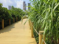 -华侨城湿地公园