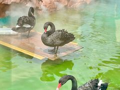 -福州罗源湾海洋世界旅游区