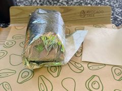 -油梨树AVOCADO TREE(顺义新国展店)