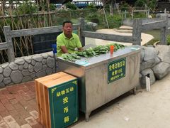 -长廊欢乐园