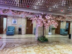 点击看大图 -重庆军美医疗美容医院