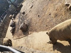 -无锡动物园·太湖欢乐园