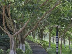 -五通灯塔公园