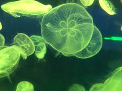 -福州罗源湾海洋世界旅游区