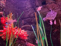 -沈阳海洋探索中心