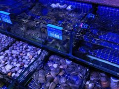 水产区-青蓬蒸汽海鲜·深圳老字号·团建聚会(壹方城店)