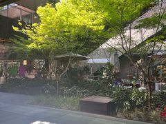 -瑞虹新天地月亮湾