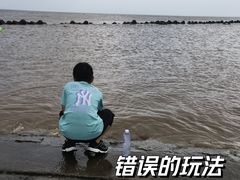 -南汇嘴观海公园