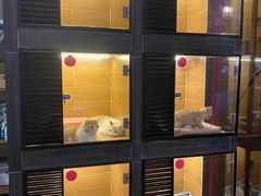 -MOLLY'S萌宠生活馆