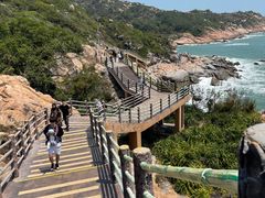 -广东惠东海龟国家级自然保护区