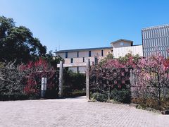 -南紀白浜 浜千鳥の湯 海舟