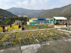 -宁波九龙湖开元度假村