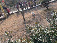 -无锡动物园·太湖欢乐园