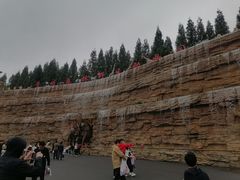 -贵州森林野生动物园