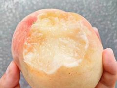 -老袁家蜜桃农场·阳山水蜜桃