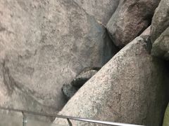 -巨石山景区