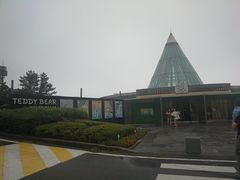 -济州岛泰迪熊博物馆