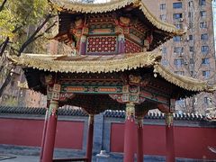 -护国法轮寺