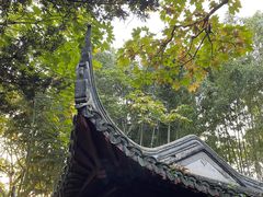 -秋霞圃