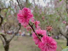 -广州市白云山风景名胜区
