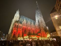 -斯蒂芬主教座堂(Stephansdom)