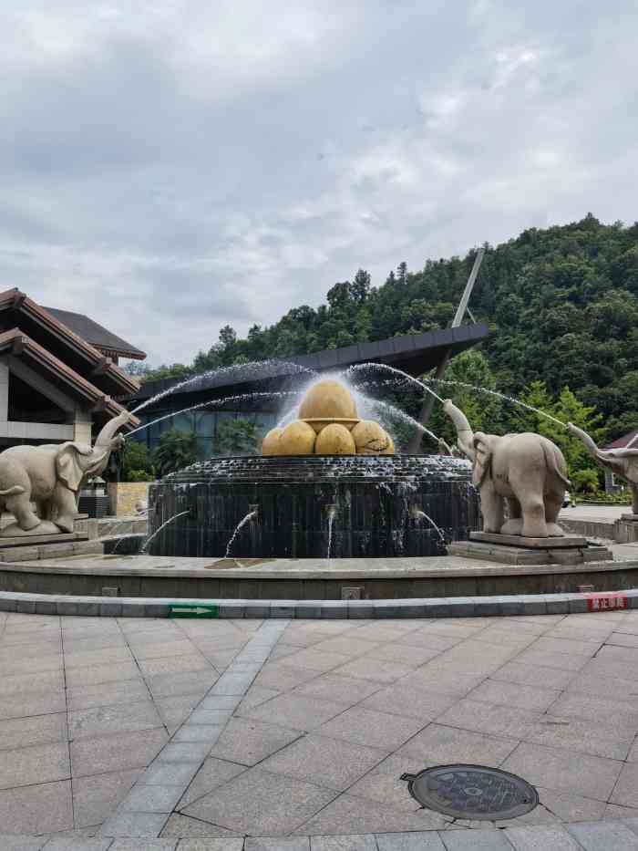 麓苑国际大酒店-"酒店设施很现代,环境优美,适合带孩子去.