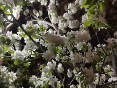 -麦当劳(健德桥得来速店)