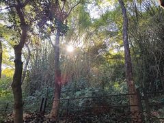 -广州市白云山风景名胜区
