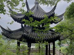 -宁波市保国寺古建筑博物馆